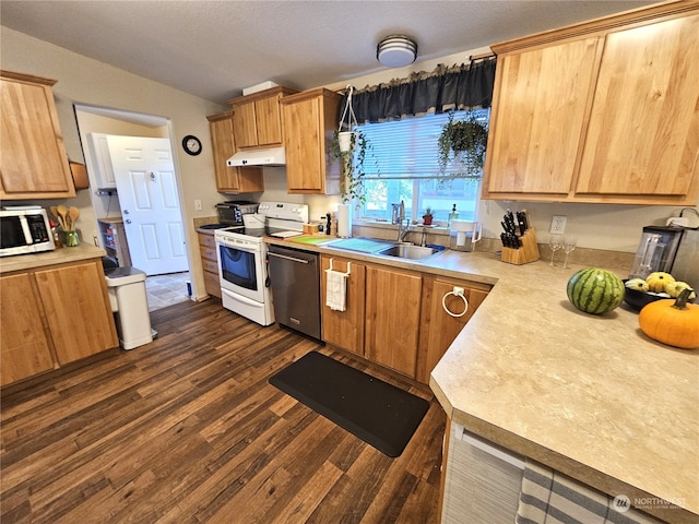 kitchen with appliances with stainless steel finishes, sink, dark wood-type flooring, and vaulted ceiling