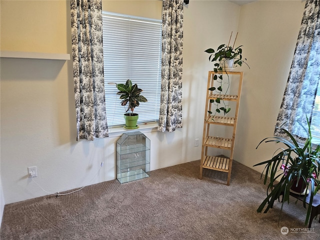 living area featuring a healthy amount of sunlight and carpet