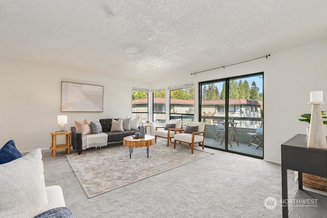 carpeted living room with a textured ceiling