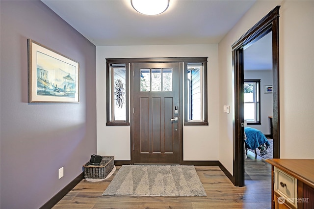 entryway featuring wood-type flooring