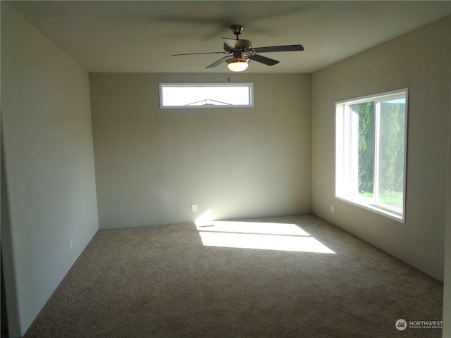 spare room featuring carpet, ceiling fan, and a wealth of natural light