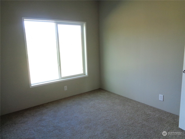 view of carpeted spare room