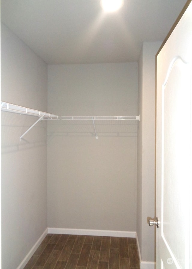 spacious closet with dark wood-type flooring