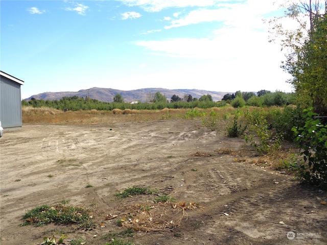 view of yard featuring a mountain view