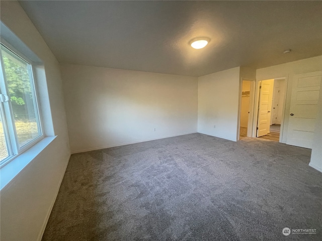 unfurnished bedroom with carpet flooring