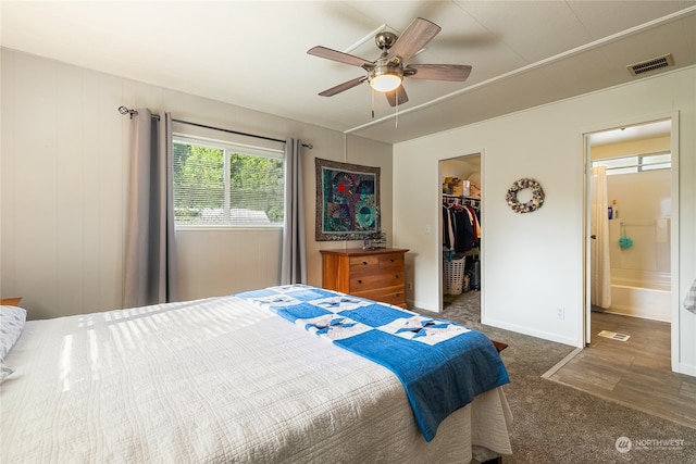 bedroom featuring ceiling fan, a walk in closet, a closet, ensuite bath, and dark hardwood / wood-style flooring