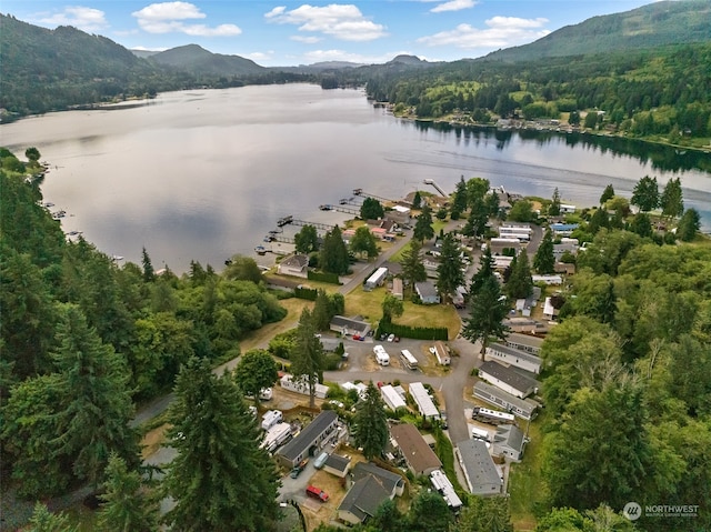 birds eye view of property featuring a water and mountain view