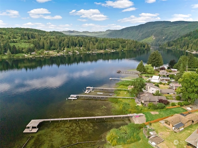 drone / aerial view with a water and mountain view