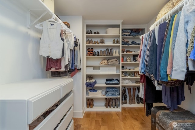 1145 School Ave, Walla Walla, WA 99362 - walk in closet with light wood-type flooring