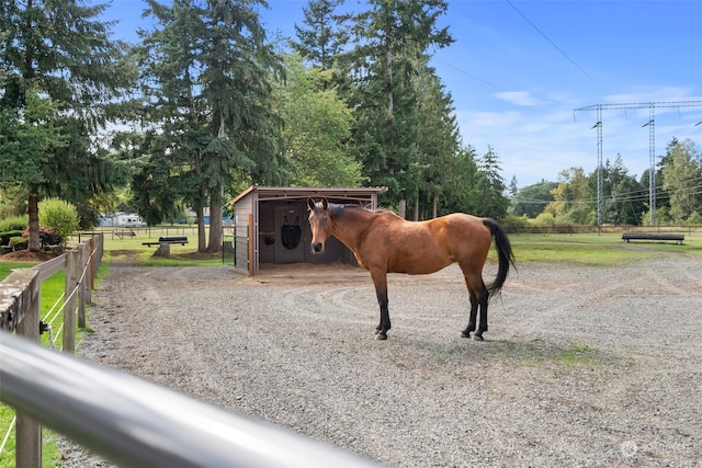 view of horse barn