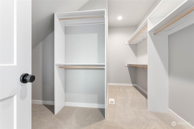 spacious closet with light carpet