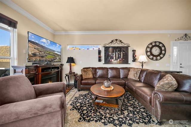 9225 Red Cliff Dr NW Unit B53, Quincy, WA 98848 - living area with ornamental molding and a warm lit fireplace
