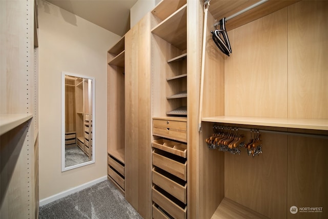 9225 Red Cliff Dr NW Unit B53, Quincy, WA 98848 - walk in closet with dark carpet