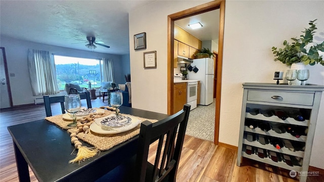 dining space with ceiling fan and light wood-type flooring