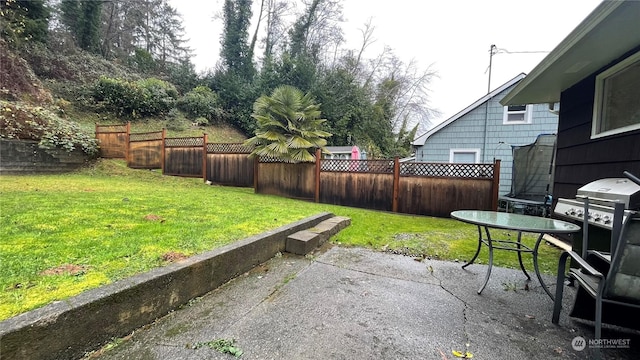 view of yard with a patio