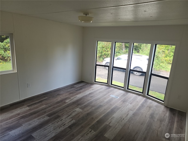 unfurnished room with lofted ceiling, dark wood-type flooring, and plenty of natural light