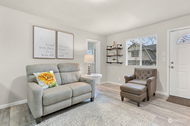 living room featuring hardwood / wood-style floors