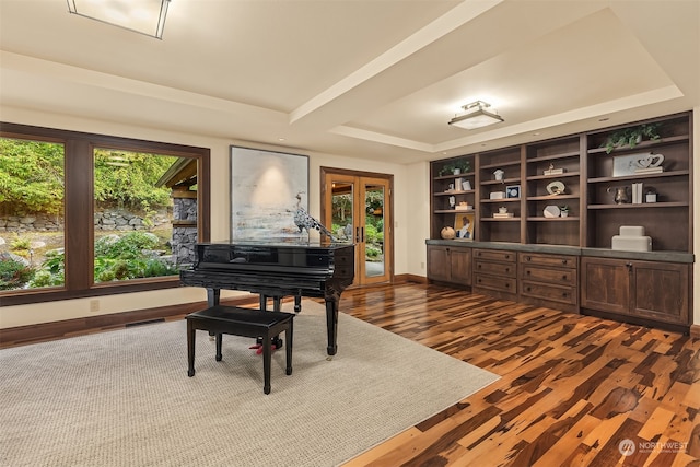 miscellaneous room featuring a raised ceiling, hardwood / wood-style floors, and french doors