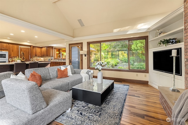 living room with light hardwood / wood-style flooring and high vaulted ceiling