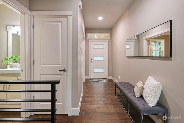 entrance foyer with sink and dark hardwood / wood-style flooring