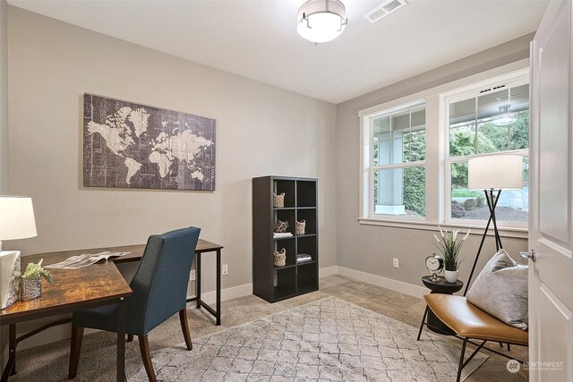 view of carpeted home office