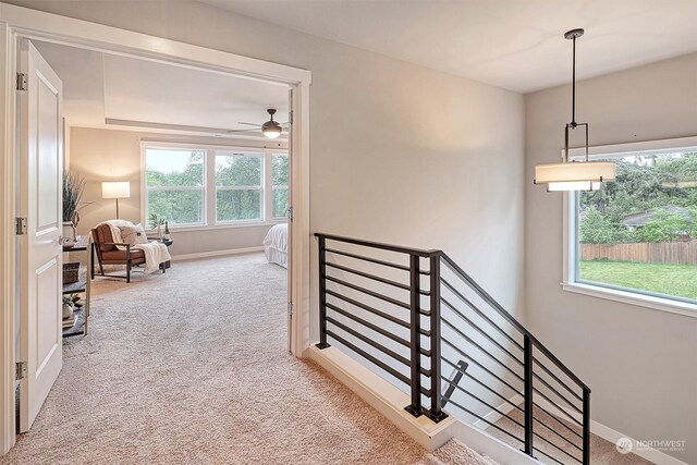 corridor with plenty of natural light and carpet floors