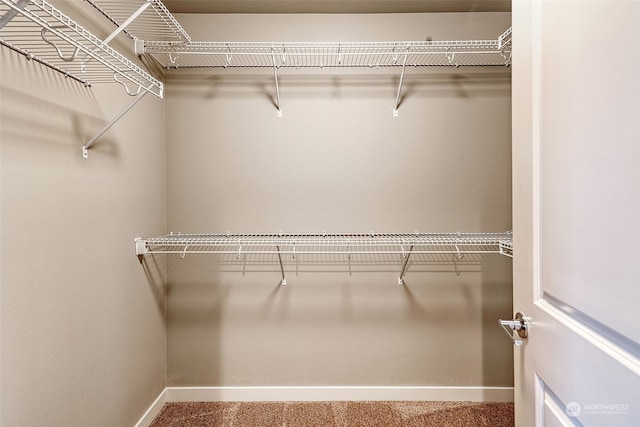 walk in closet with carpet flooring