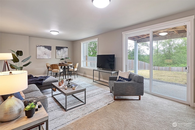 living room with light carpet