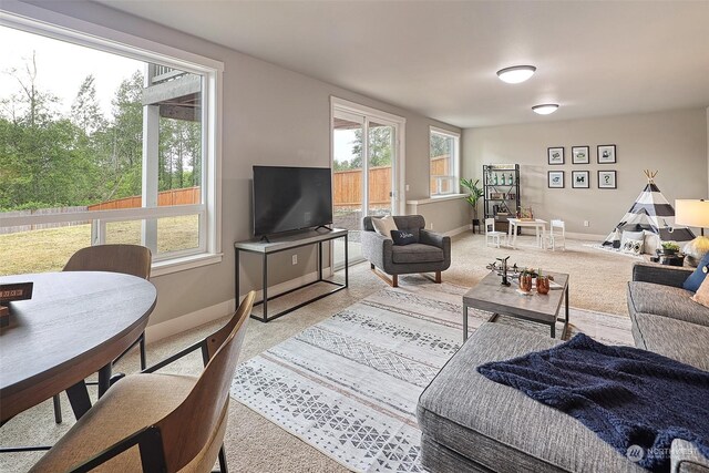 view of carpeted living room