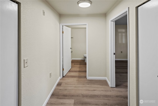 hall featuring light wood-type flooring