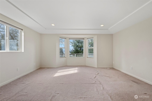 spare room with carpet floors, baseboards, and a healthy amount of sunlight