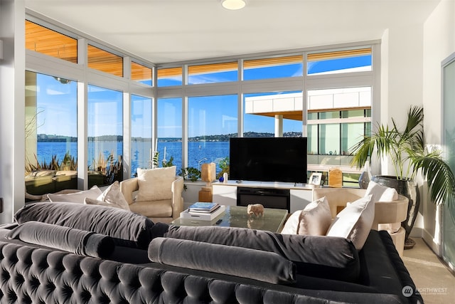 living room with a water view and a wealth of natural light