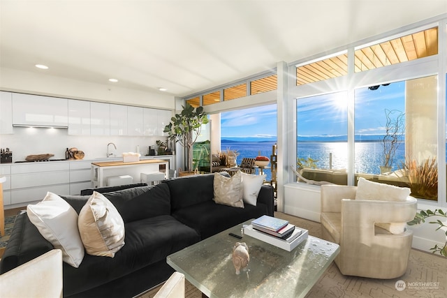 living room featuring light hardwood / wood-style floors, a water view, and sink