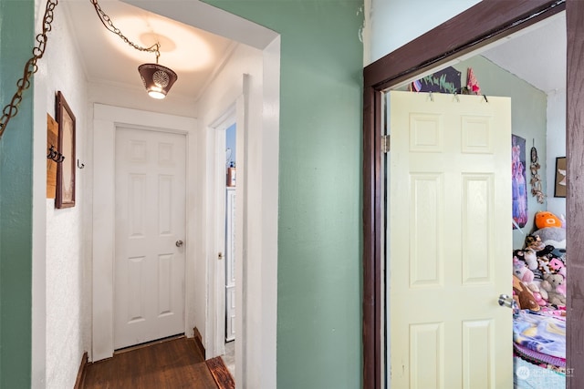 hallway featuring crown molding and dark wood-type flooring