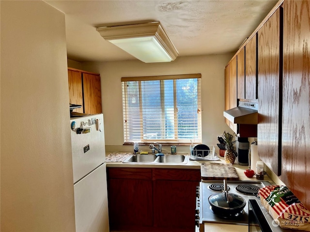 kitchen featuring stove, a sink, light countertops, freestanding refrigerator, and under cabinet range hood
