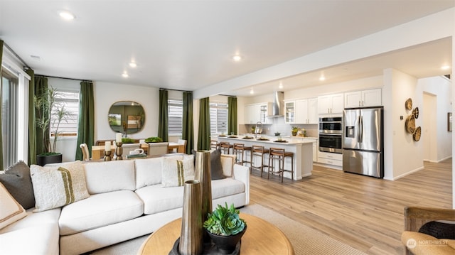 living room featuring light hardwood / wood-style floors