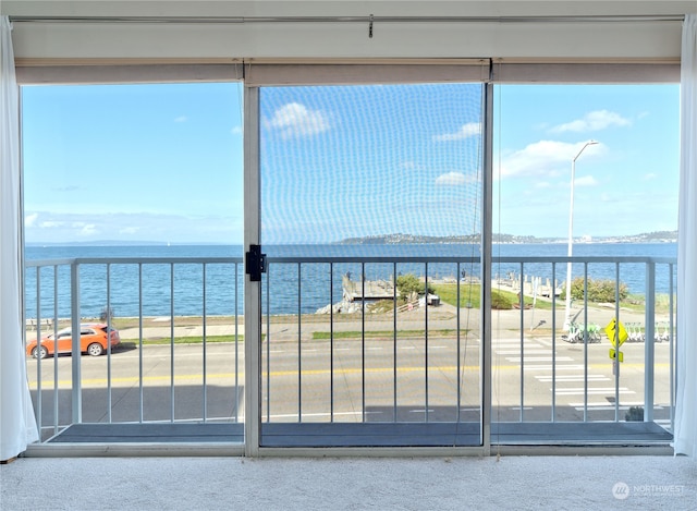 interior space with a water view and carpet flooring