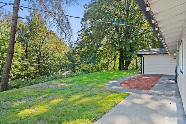 view of yard featuring a patio area