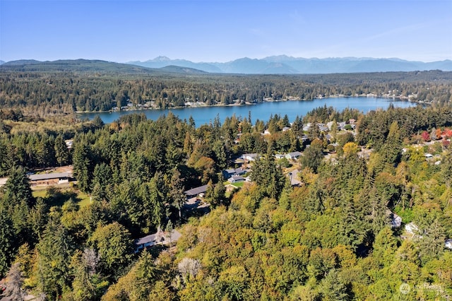 drone / aerial view featuring a water and mountain view