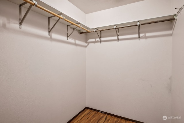 spacious closet featuring hardwood / wood-style floors