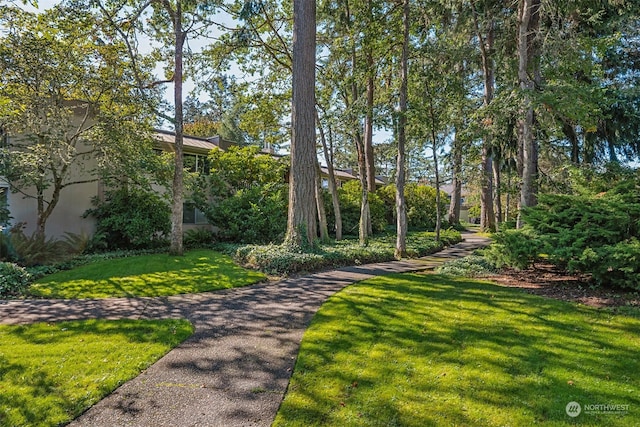 view of property's community featuring a yard