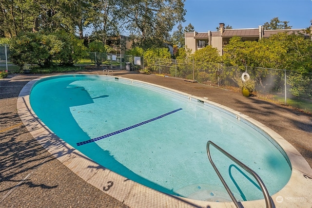 view of swimming pool