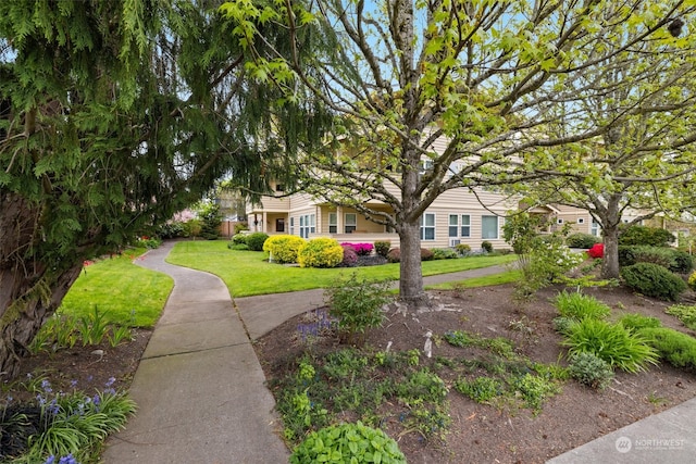 view of front facade with a front lawn