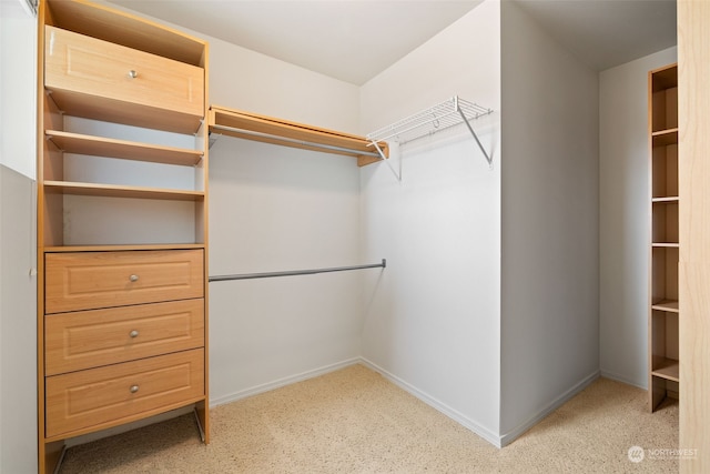 walk in closet featuring light carpet