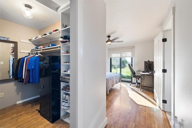 spacious closet featuring ceiling fan and hardwood / wood-style floors