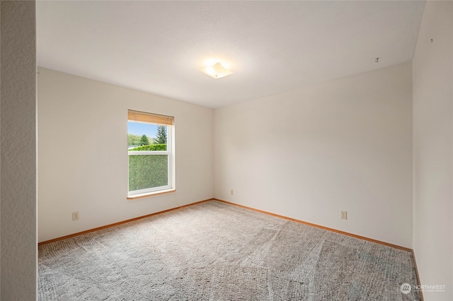 unfurnished room with carpet