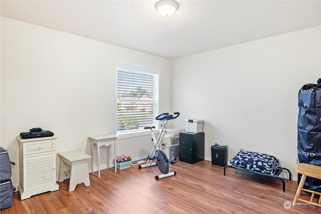 exercise room featuring hardwood / wood-style flooring and a textured ceiling