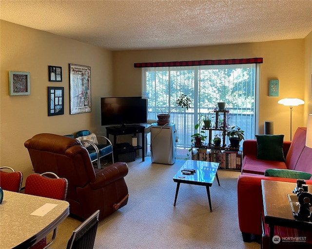 living room featuring carpet flooring and a textured ceiling