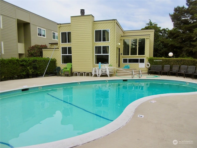 view of pool featuring a patio