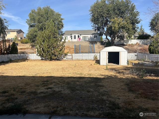 view of yard featuring a shed